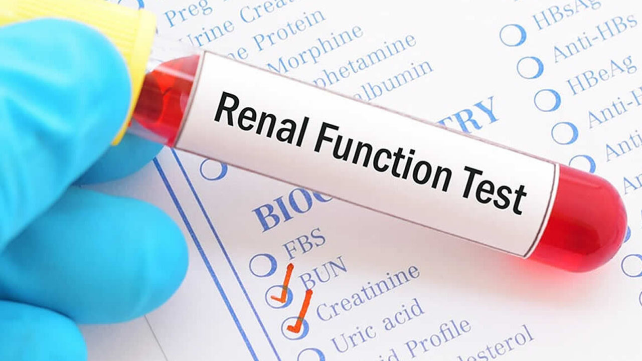 Kidney Function Tests at Apple Scans & Diagnostics